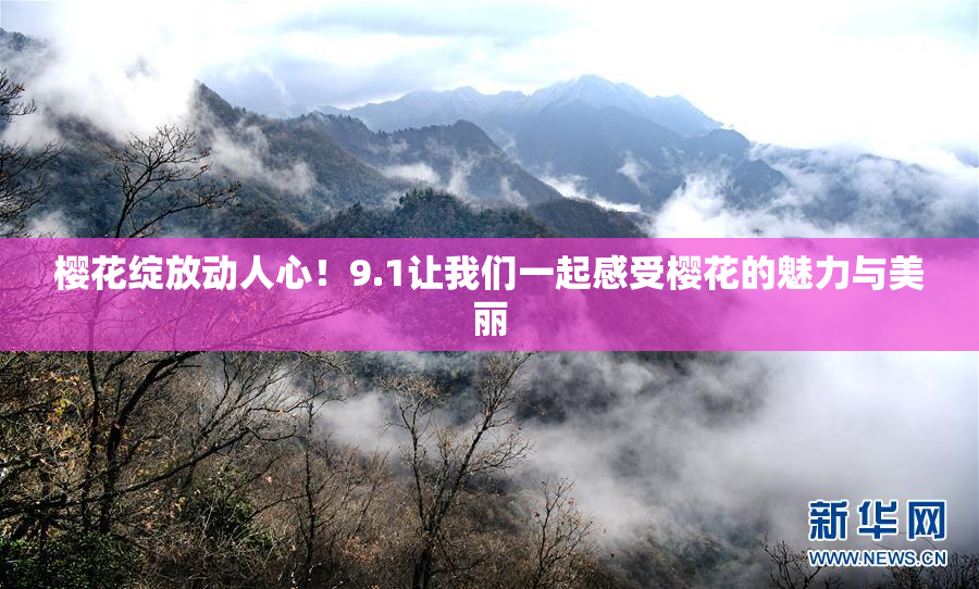 樱花绽放动人心！9.1让我们一起感受樱花的魅力与美丽