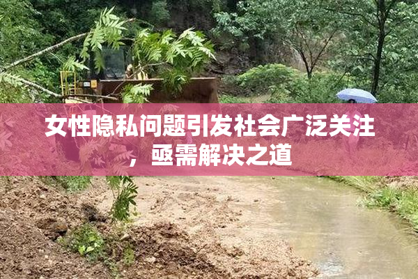女性隐私问题引发社会广泛关注，亟需解决之道