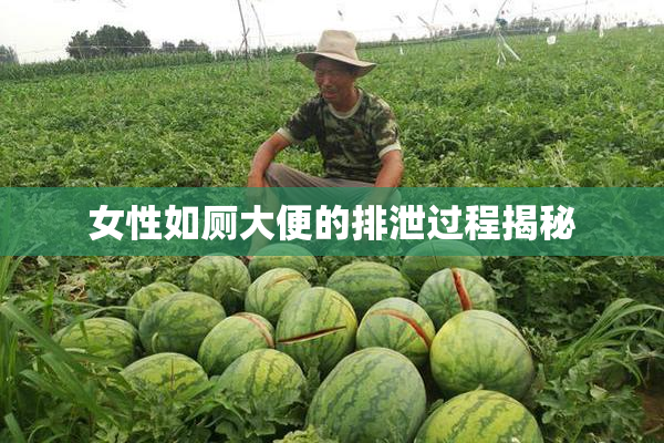 女性如厕大便的排泄过程揭秘