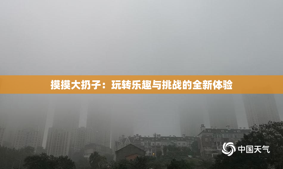 摸摸大扔子：玩转乐趣与挑战的全新体验