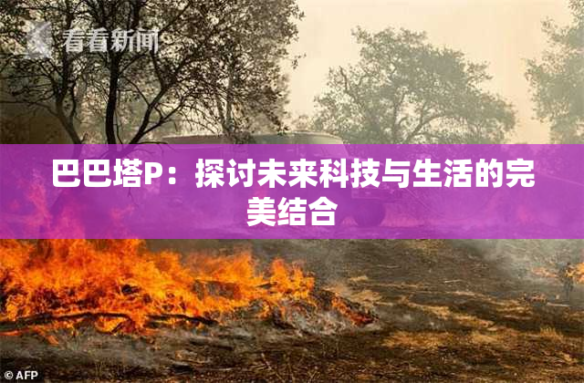 巴巴塔P：探讨未来科技与生活的完美结合