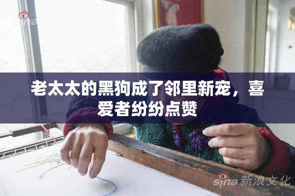老太太的黑狗成了邻里新宠，喜爱者纷纷点赞