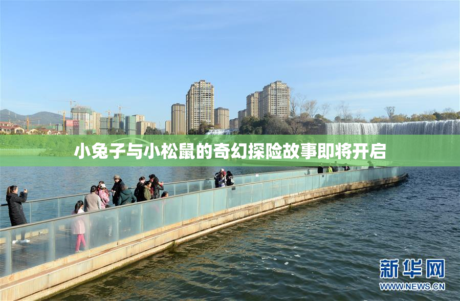 小兔子与小松鼠的奇幻探险故事即将开启