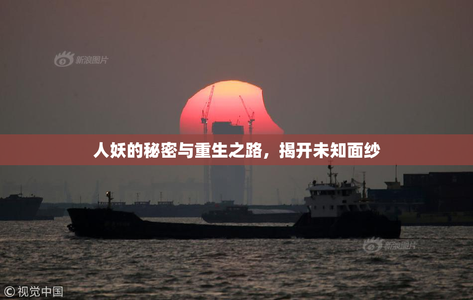 人妖的秘密与重生之路，揭开未知面纱