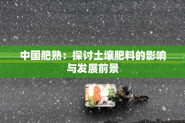 中国肥熟：探讨土壤肥料的影响与发展前景