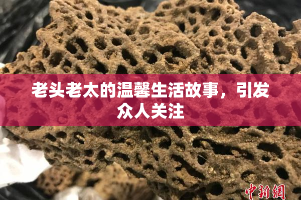老头老太的温馨生活故事，引发众人关注