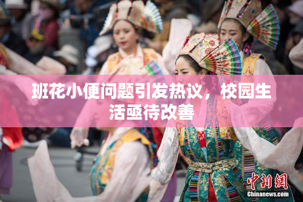 班花小便问题引发热议，校园生活亟待改善