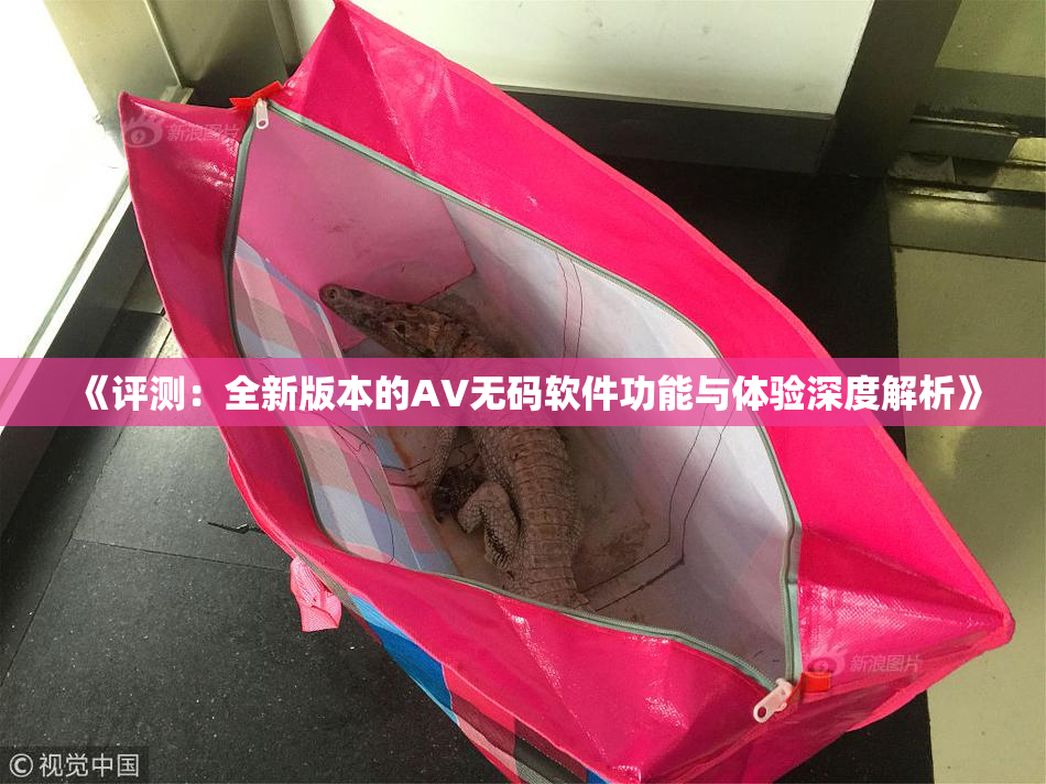《评测：全新版本的AV无码软件功能与体验深度解析》