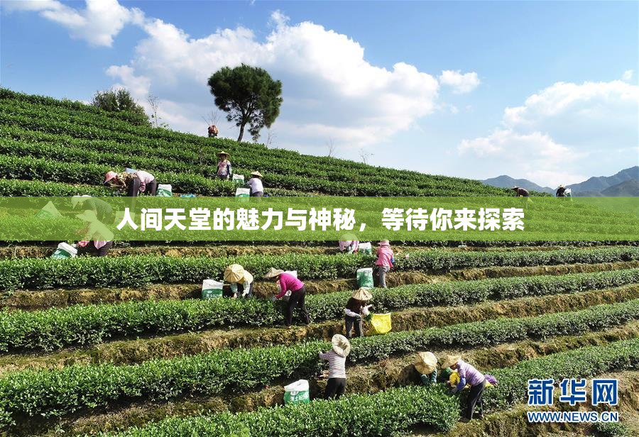 人间天堂的魅力与神秘，等待你来探索
