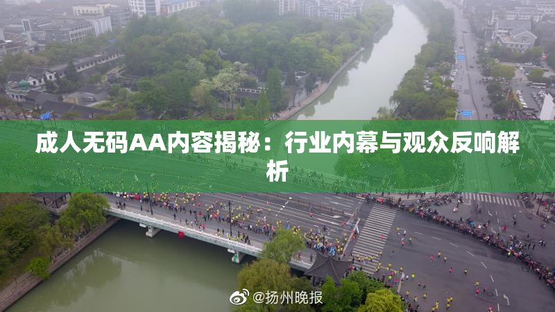 成人无码AA内容揭秘：行业内幕与观众反响解析