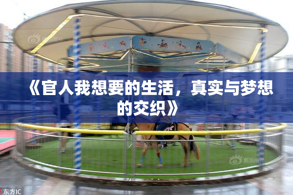 《官人我想要的生活，真实与梦想的交织》