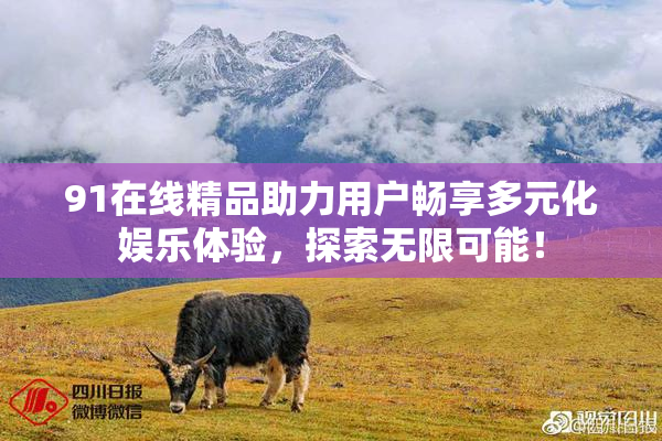 91在线精品助力用户畅享多元化娱乐体验，探索无限可能！