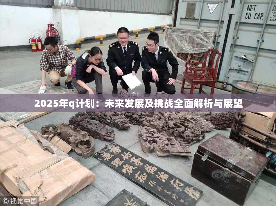 2025年q计划：未来发展及挑战全面解析与展望