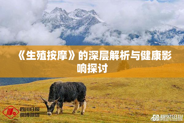 《生殖按摩》的深层解析与健康影响探讨