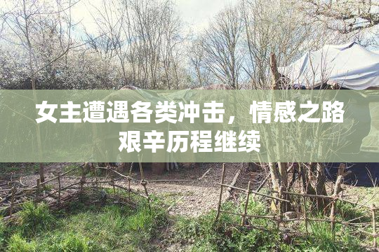 女主遭遇各类冲击，情感之路艰辛历程继续
