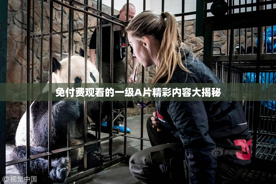 免付费观看的一级A片精彩内容大揭秘