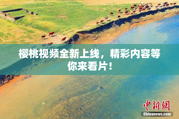 樱桃视频全新上线，精彩内容等你来看片！
