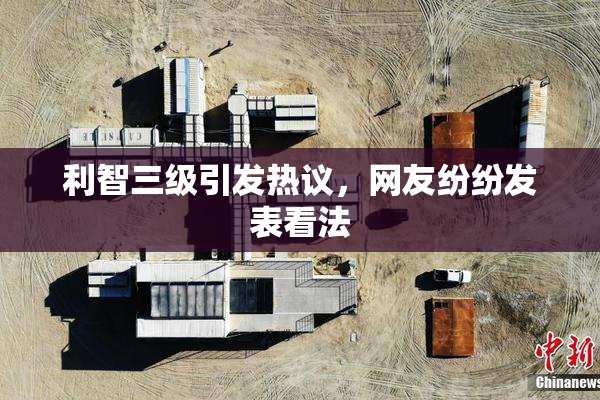 利智三级引发热议，网友纷纷发表看法