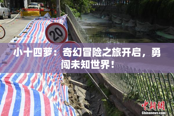 小十四萝：奇幻冒险之旅开启，勇闯未知世界！