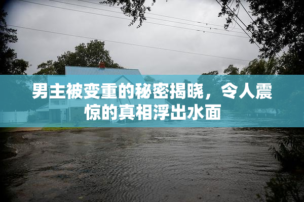 男主被变重的秘密揭晓，令人震惊的真相浮出水面