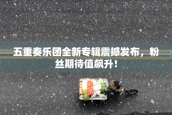 五重奏乐团全新专辑震撼发布，粉丝期待值飙升！