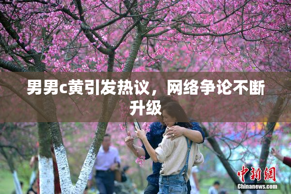 男男c黄引发热议，网络争论不断升级