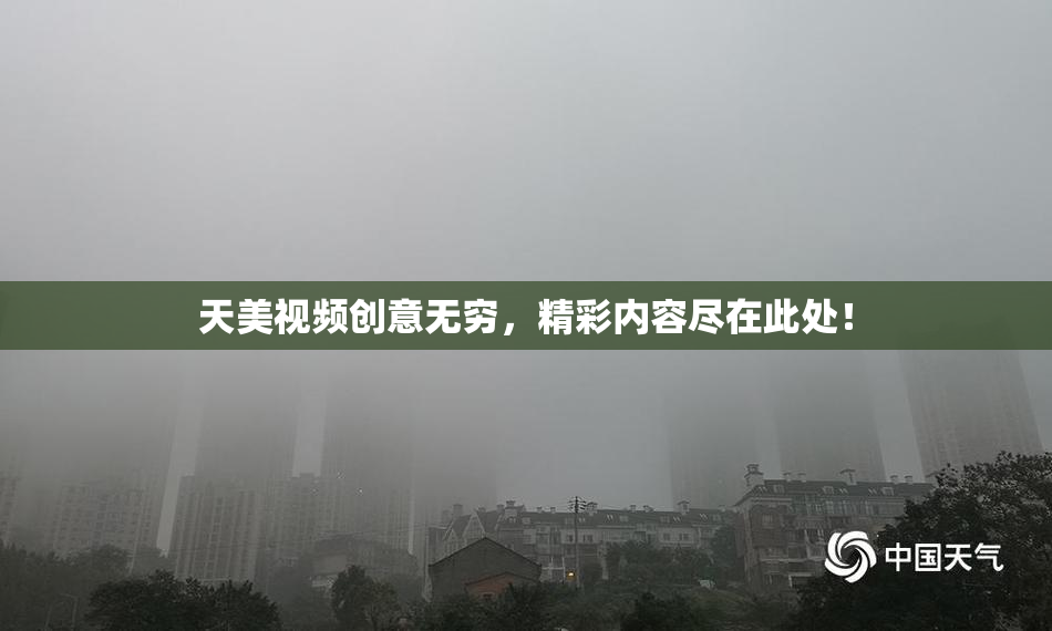 天美视频创意无穷，精彩内容尽在此处！
