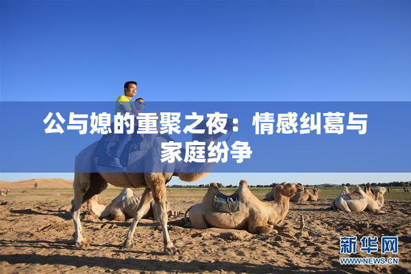 公与媳的重聚之夜：情感纠葛与家庭纷争
