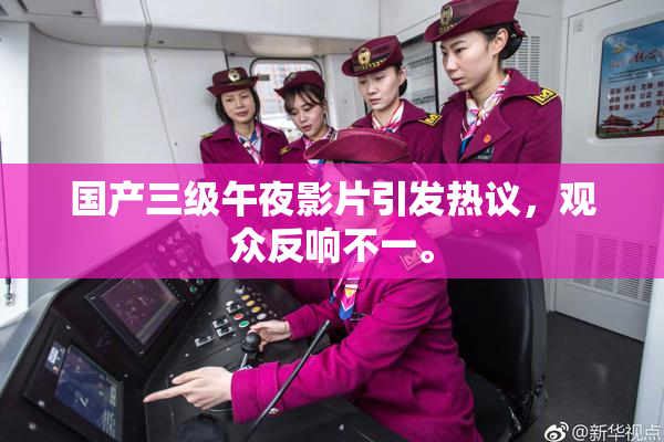 国产三级午夜影片引发热议，观众反响不一。