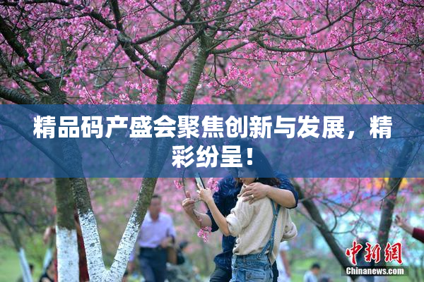精品码产盛会聚焦创新与发展，精彩纷呈！