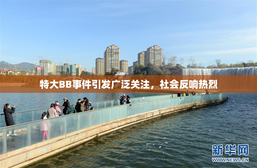 特大BB事件引发广泛关注，社会反响热烈