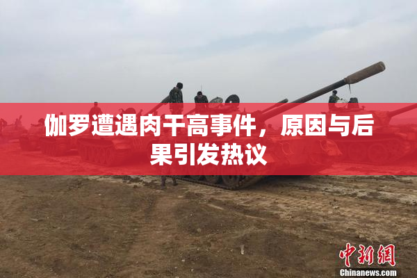 伽罗遭遇肉干高事件，原因与后果引发热议