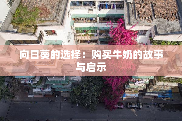向日葵的选择：购买牛奶的故事与启示