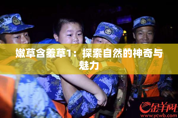 嫩草含羞草1：探索自然的神奇与魅力