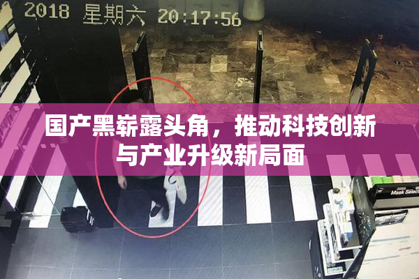 国产黑崭露头角，推动科技创新与产业升级新局面