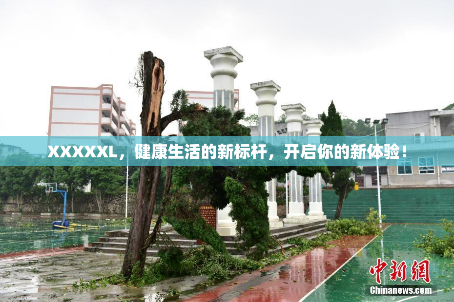 XXXXXL，健康生活的新标杆，开启你的新体验！