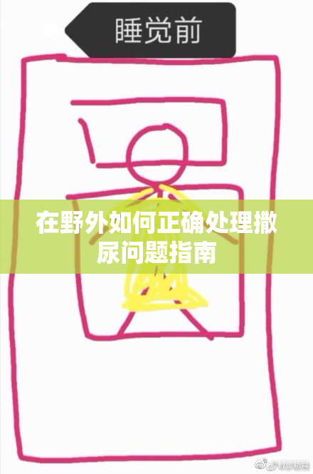 在野外如何正确处理撒尿问题指南