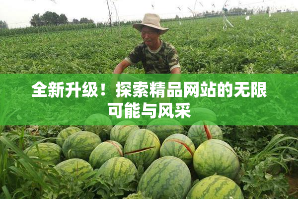 全新升级！探索精品网站的无限可能与风采