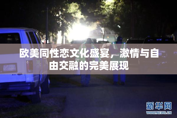 欧美同性恋文化盛宴，激情与自由交融的完美展现