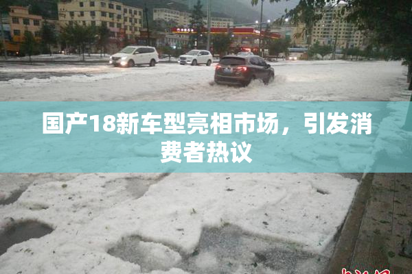 国产18新车型亮相市场，引发消费者热议