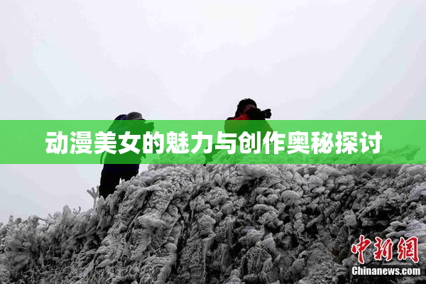 动漫美女的魅力与创作奥秘探讨