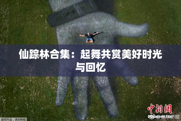 仙踪林合集：起舞共赏美好时光与回忆