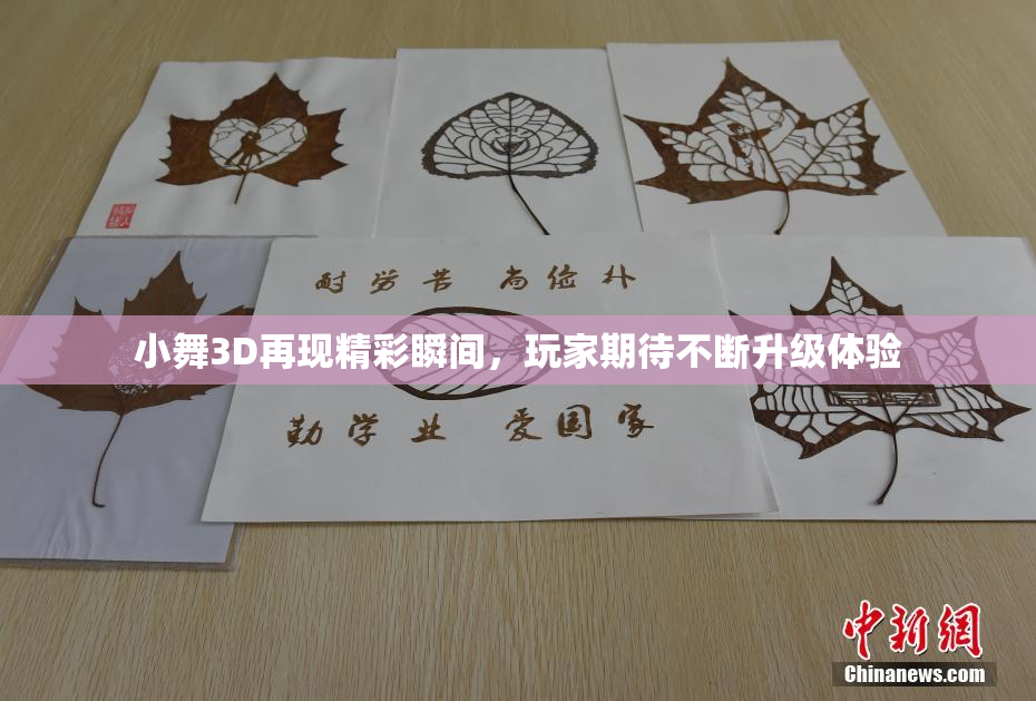 小舞3D再现精彩瞬间，玩家期待不断升级体验