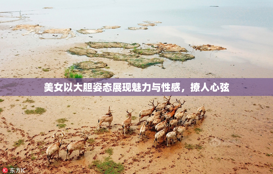 美女以大胆姿态展现魅力与性感，撩人心弦
