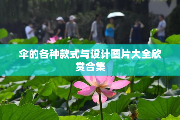 伞的各种款式与设计图片大全欣赏合集
