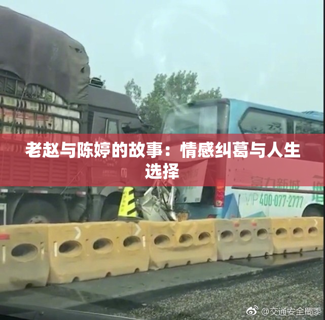 老赵与陈婷的故事：情感纠葛与人生选择