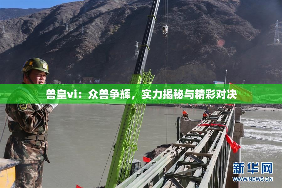 兽皇vi：众兽争辉，实力揭秘与精彩对决