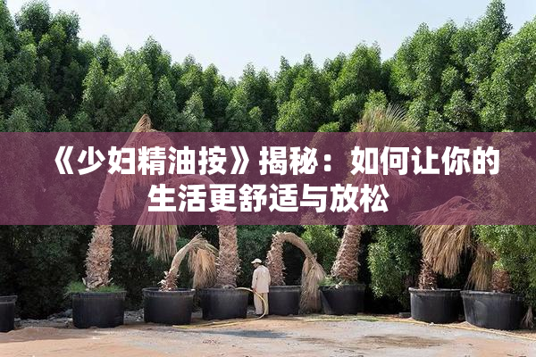 《少妇精油按》揭秘：如何让你的生活更舒适与放松