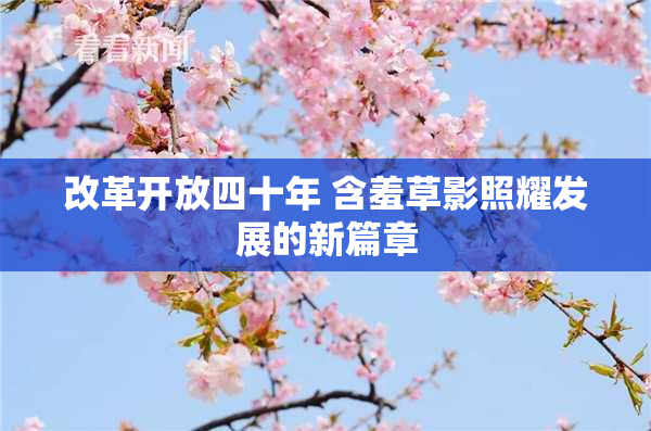 改革开放四十年 含羞草影照耀发展的新篇章