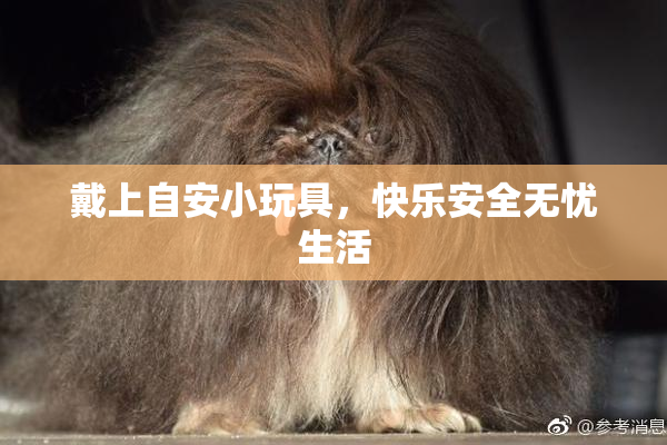 戴上自安小玩具，快乐安全无忧生活